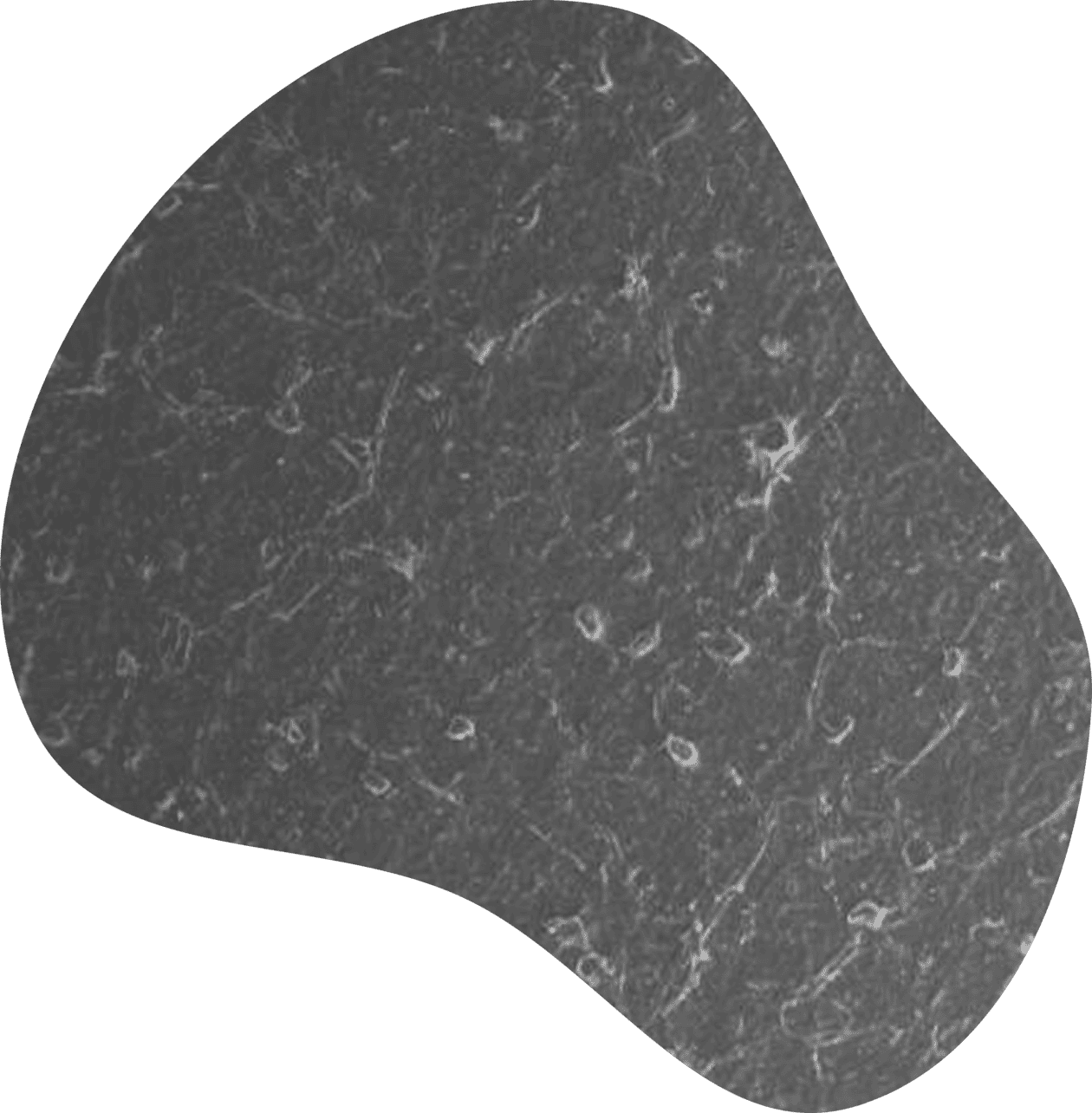 Vector-1